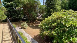 Um caminho serpenteia por um jardim com diversas árvores e arbustos.