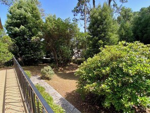 A garden with a paved walkway, surrounded by various trees and shrubs. - Vintage style in central location, walkable A0365 (Lège-Cap-Ferret)