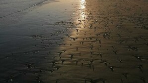 A beach with the sun setting over the horizon, reflecting on the wet sand. - Immaculate 3-bed Caravan in Hartlepool (Hartlepool)