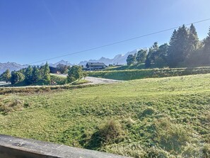 Eksteriør