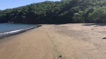 Une plage où l’on voit des empreintes de pas menant à l’eau, entourée d’une forêt verdoyante et dense.