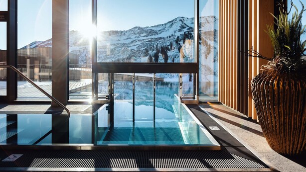 Una piscina interior moderna con una barrera de vidrio, vista a una montaña nevada y una planta decorativa grande.