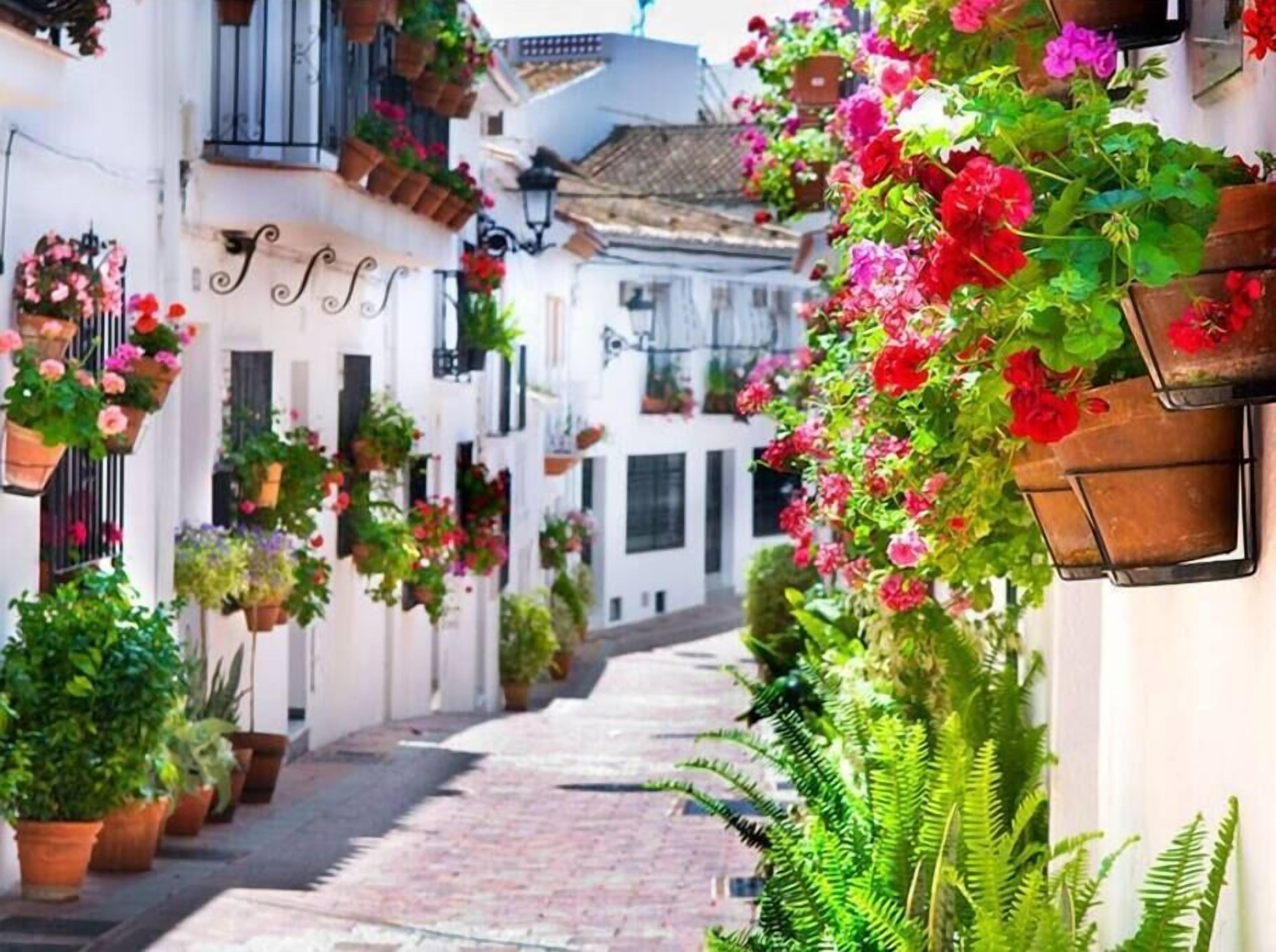 Une rue étroite bordée de bâtiments blancs, de jardinières suspendues et de plantes en pot.