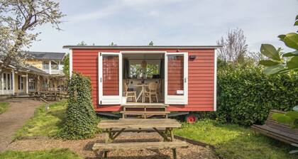 Tinyhouse Het Voordek - am See in der Nähe von Amsterdam