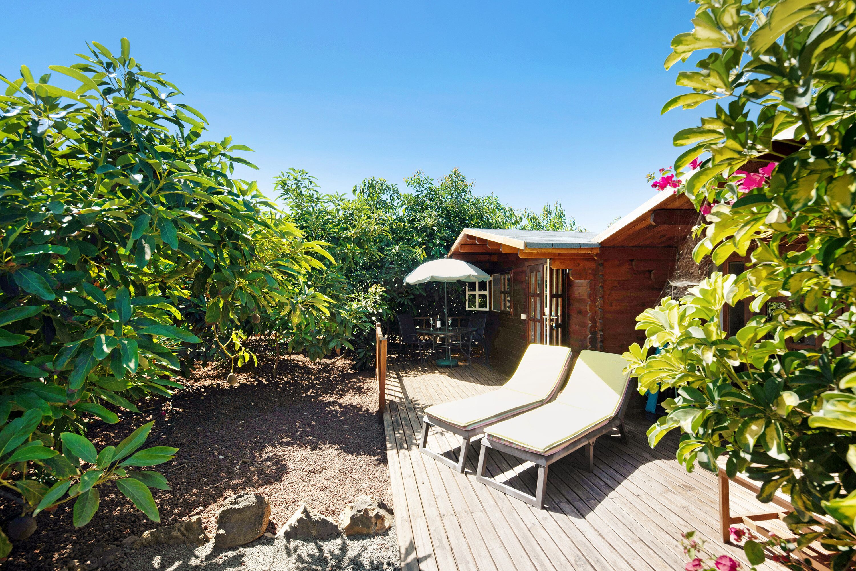 Beautiful wooden cottage "Cottage Hibiscus" near the beach, high speed Wi-Fi, terrace and bbq and parking.