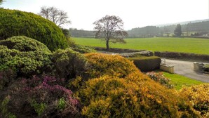 A landscaped garden with a variety of shrubs and a tree in the center. - Bolams Holiday Home (Thomastown)