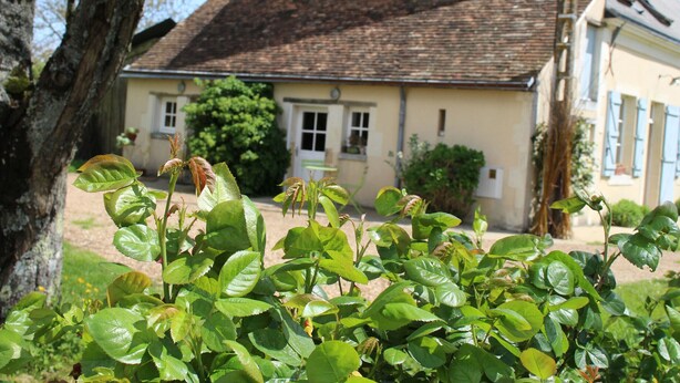 A rustic building with a sloped roof, a small porch, and a garden in the foreground.