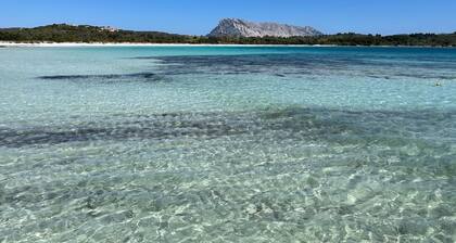 VILLA MIMOSA - PRIVATE POOL IN FRONT OF THE SANDY BEACH
