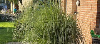 Modern vacation home Wattwurm with its own sauna