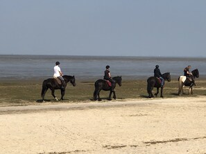 Vlak bij het strand
