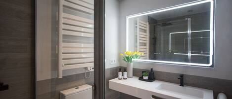 Shower, hair dryer, towels