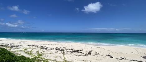 On the beach