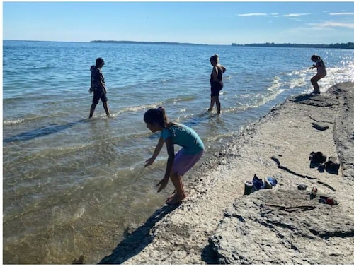 The Jurassic Lake House<br>please keep in mind sometime Satellite TV Doesn’t work