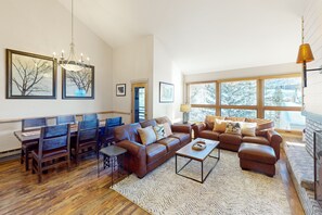 TV, fireplace, books