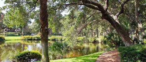 Enceinte de l’hébergement