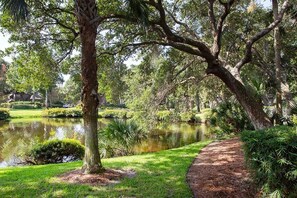 Parco della struttura