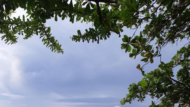 A beach with a table and a glass of wine, a person lying on the sand, and a view of the ocean and distant mountains. - El Cometa. Walk to the beach! (Tamarindo)