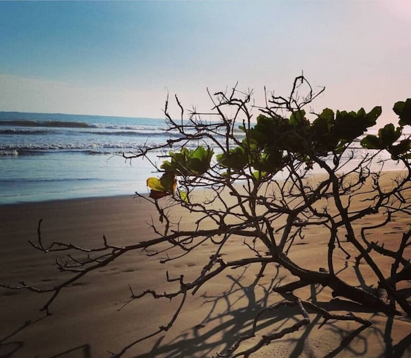 Plage à proximité