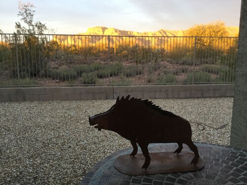 Lovely Mountain View, Close to hiking & golf, Comfortable Home, Community Pool