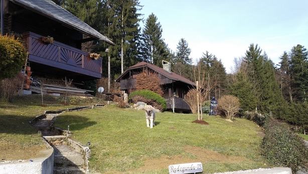 A rustic cabin with a wooden deck and a stone pathway leading to the entrance. - Villa in Nature (Mozirje)