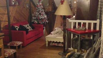 TV connectée, lecteur de DVD, livres, vidéothèque