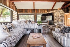 Smart TV, fireplace, books
