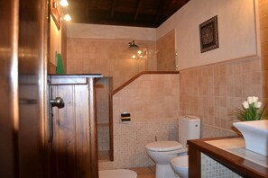 Shower, hair dryer, bidet, towels