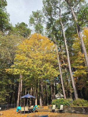 Property grounds - Changes In Latitudes Pool & Apartment Raleigh NC. (Raleigh)