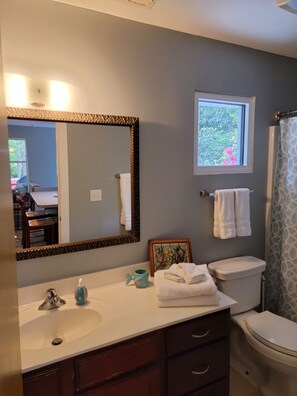 Suihkun ja ammeen yhdistelmä, hiustenkuivaaja, pyyhkeet, saippua