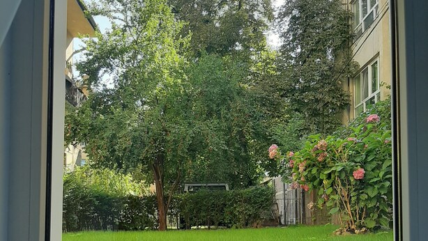 En vy genom ett fönster ut mot en grön innergård med träd och en byggnad i bakgrunden.