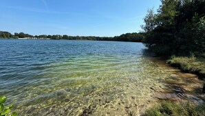 Un lago cristalino con rocas sumergidas visibles y una orilla cubierta de bosque.