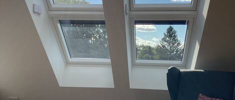 A room with a skylight, a blue armchair, and a patterned pillow.