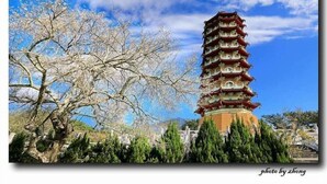 Pagodityylinen torni, jossa on useita kerroksia, ja sen ympärillä on puita ja vehreää kasvillisuutta.