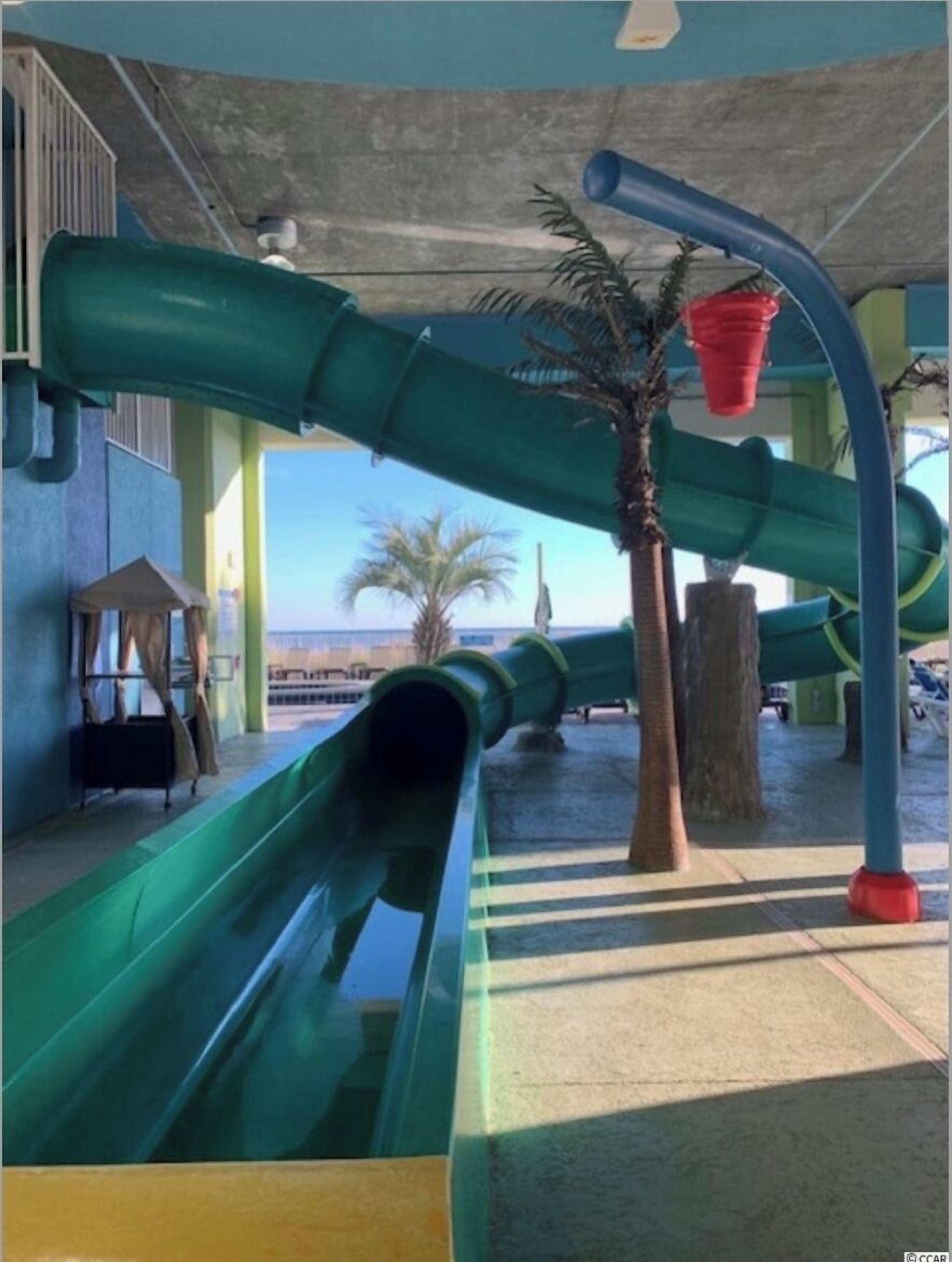 Un espace avec des toboggans aquatiques, un palmier et une vue sur la plage.