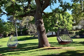 Property grounds - Tenuta Monacelle (Monopoli)
