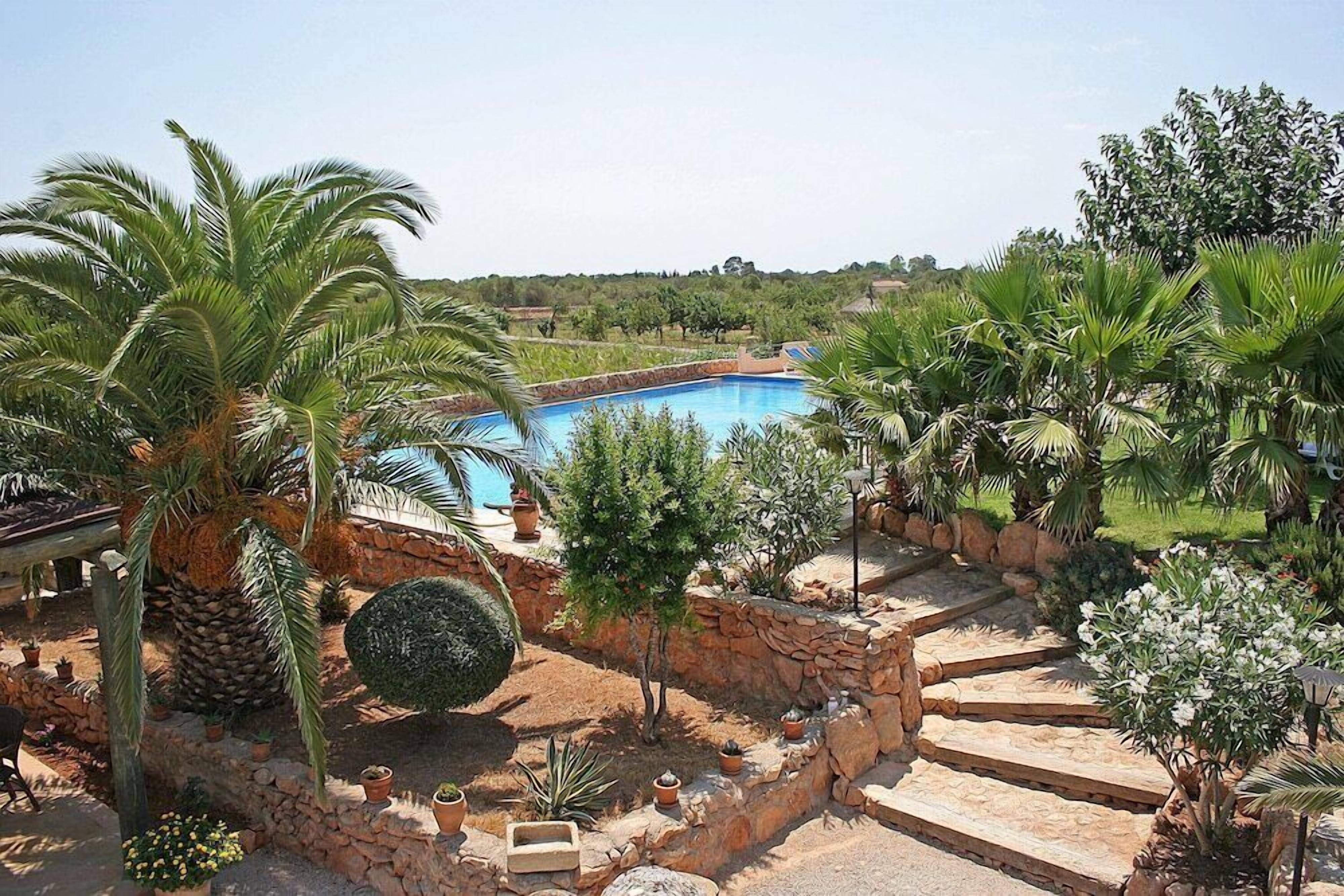 A pool surrounded by palm trees and a stone pathway.
