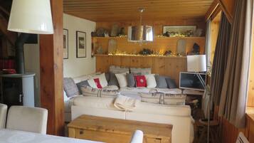 Televisie, een open haard, een dvd-speler en boeken