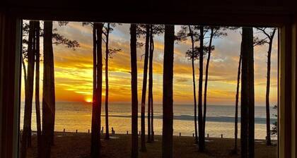 Luxury Beachfront 5 Bedroom, 3.5 Bath home with 200 ft. of PRIVATE BEACH!