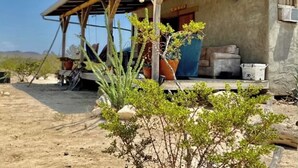 Una edificación rústica con techo de metal y vigas de madera, rodeada de vegetación desértica.