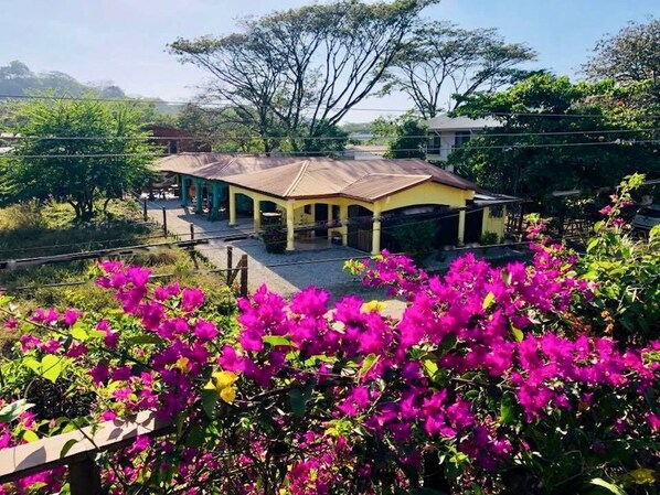 المنطقة المحيطة بالمنشأة