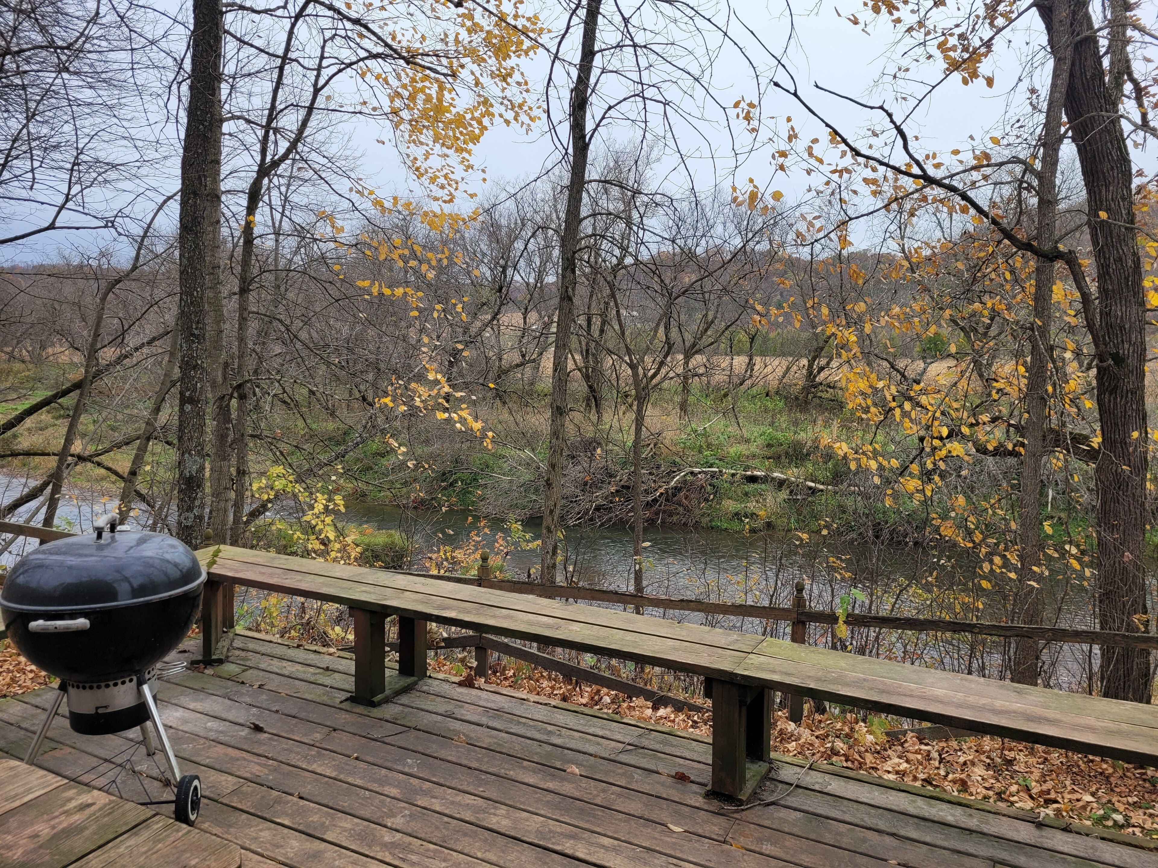 テラス / パティオ