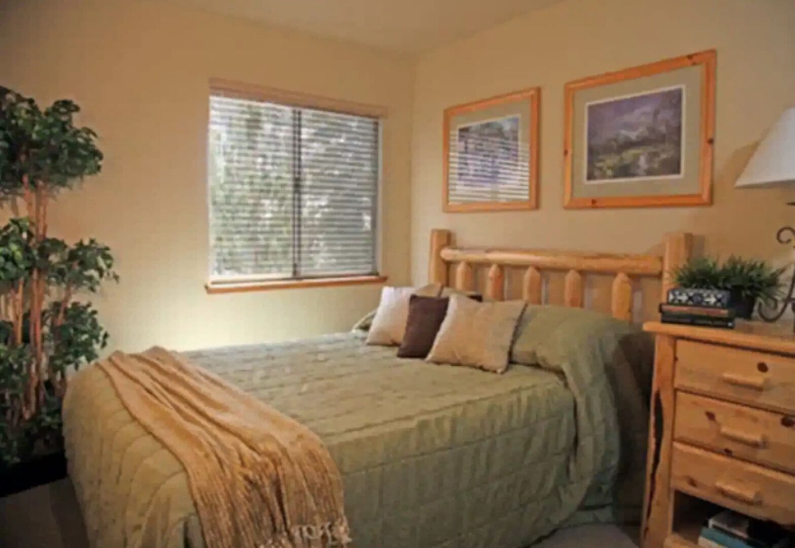 Heavenly Perennial VC-3A Tahoe Village, NV.