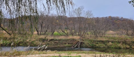 A riverside park with a wooden bench, trees, and a grassy area.