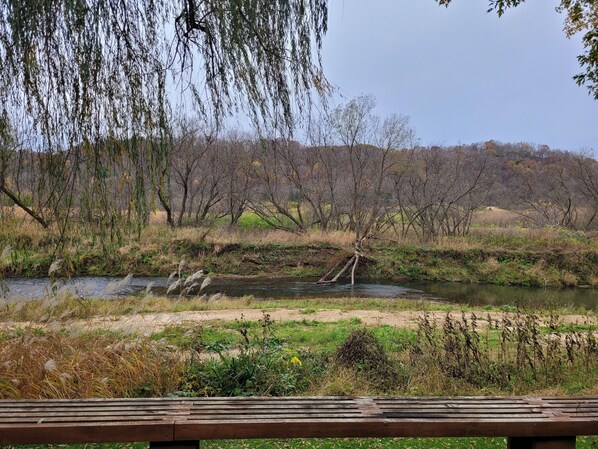 A riverside park with a wooden bench, trees, and a grassy area.