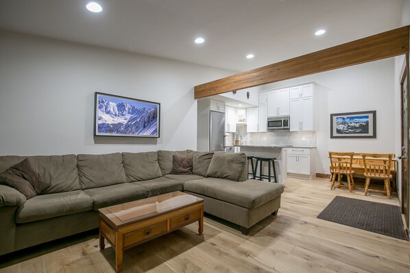 TV, fireplace, books