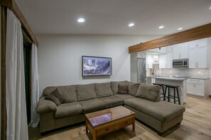 TV, fireplace, books