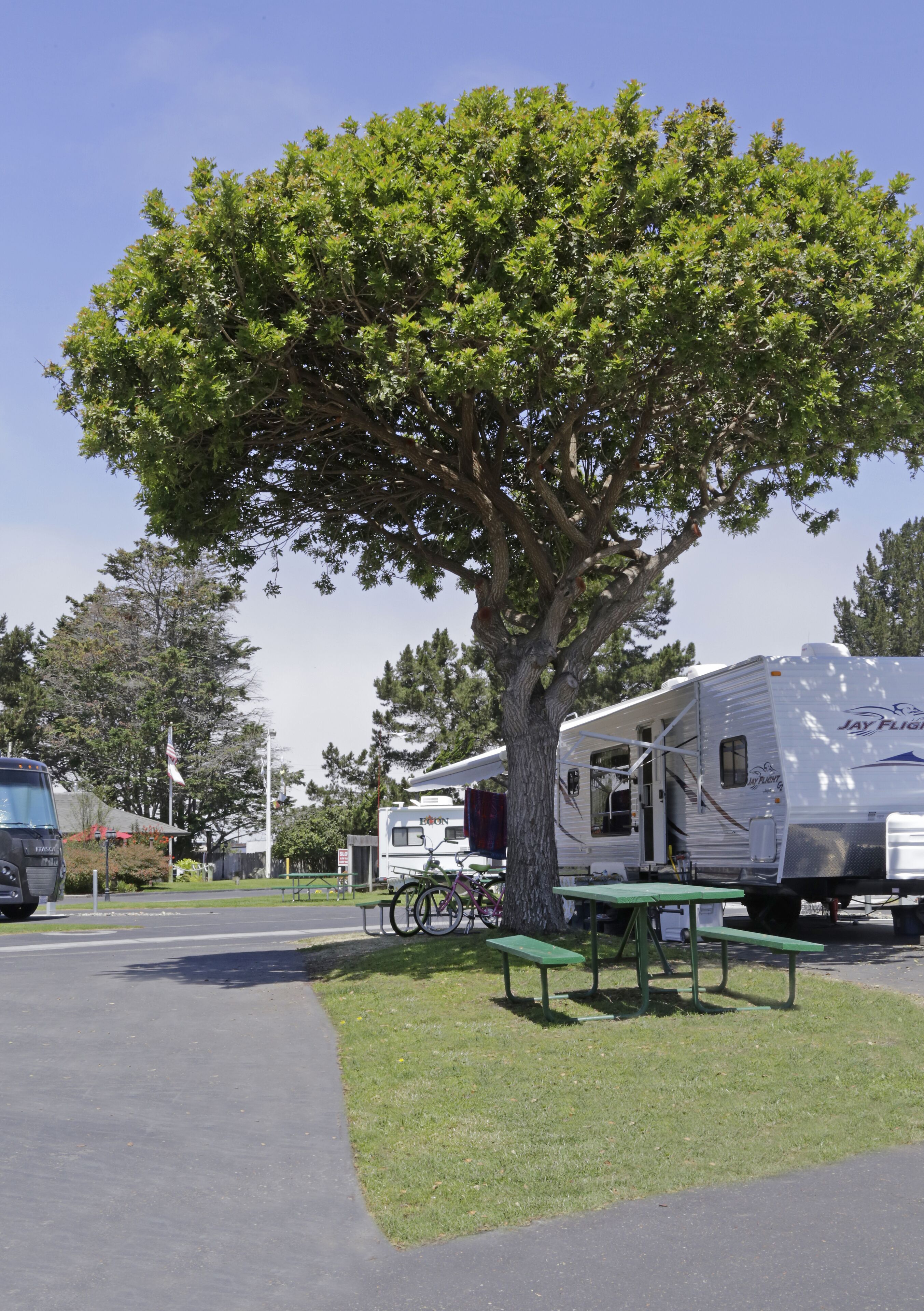 Un espace de camping bordé d'arbres, équipé d'un grand espace pour les véhicules récréatifs et de tables de pique-nique.