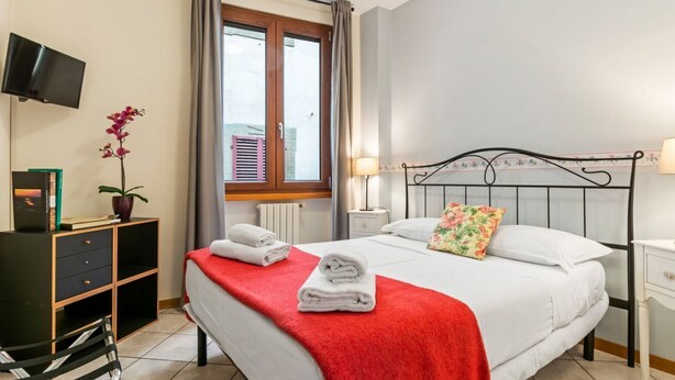 Habitación de hotel con cama, televisión, escritorio con planta y ventana con cortinas.
