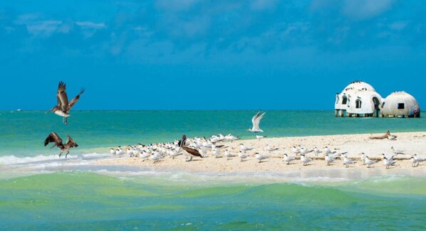 Beach nearby
