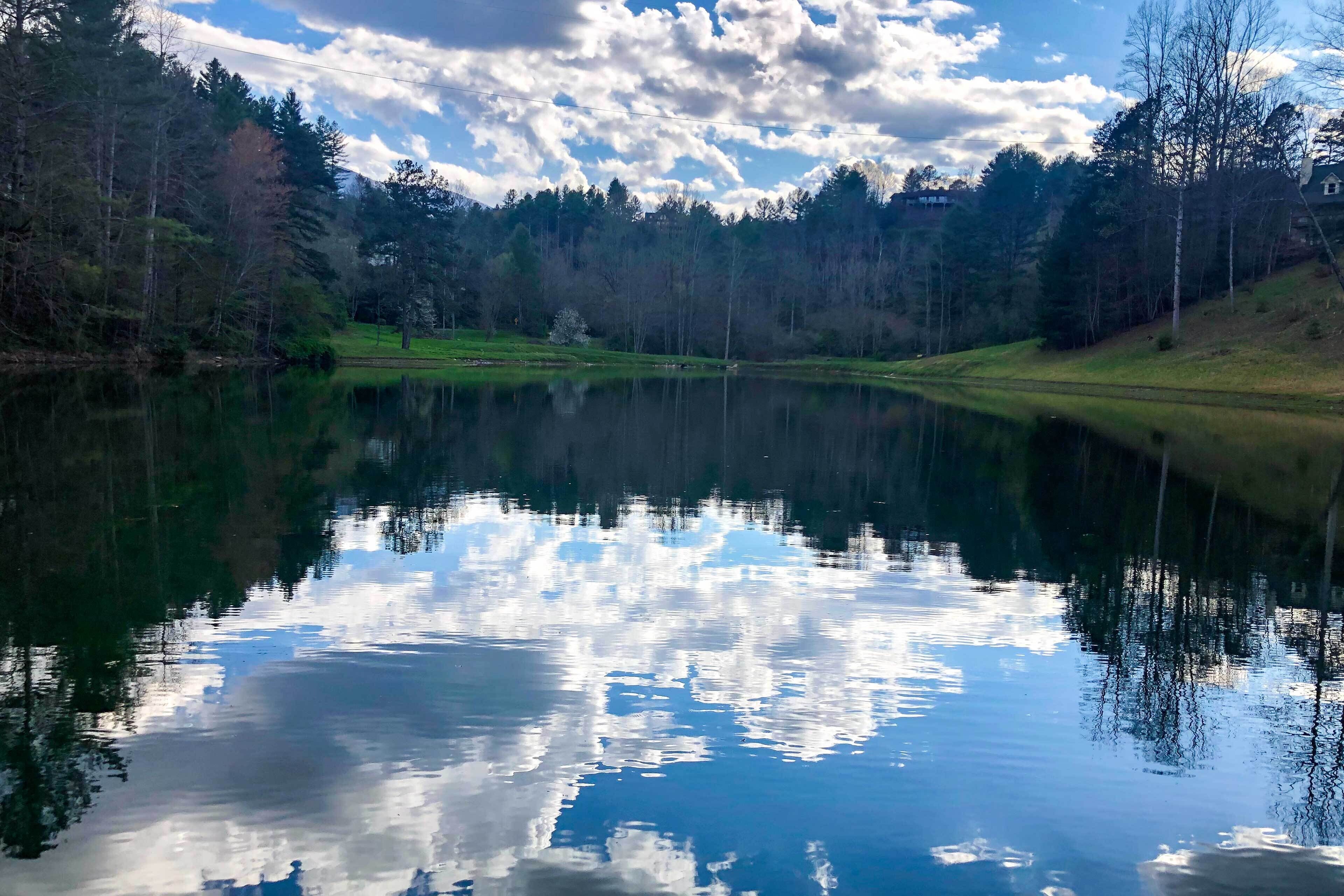 A serene lake surrounded by trees and a clear sky.